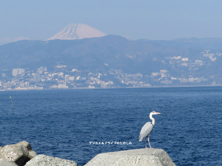 15.サギと富士山