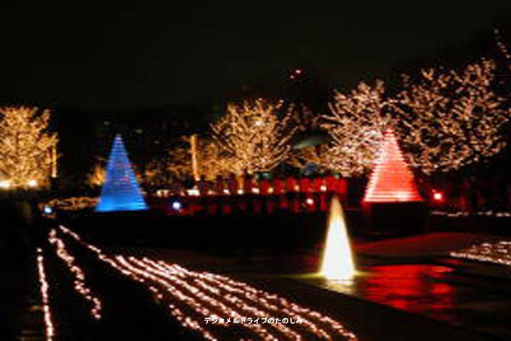 30.立川昭和記念公園 クリスマス