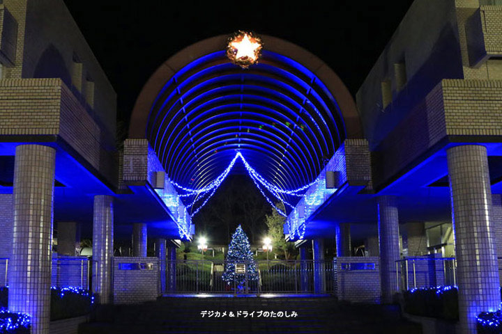 27.東京家政大学 クリスマスツリー