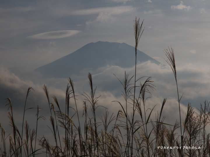 7.富士山とすすき