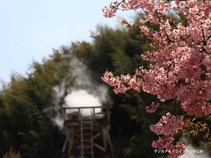 12.日本一大噴湯フントウ