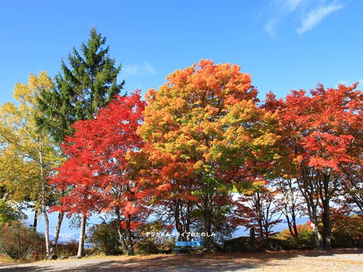 1.蓼科中央高原