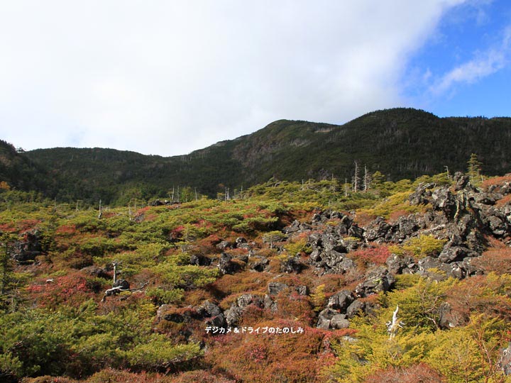 18.蓼科中央高原