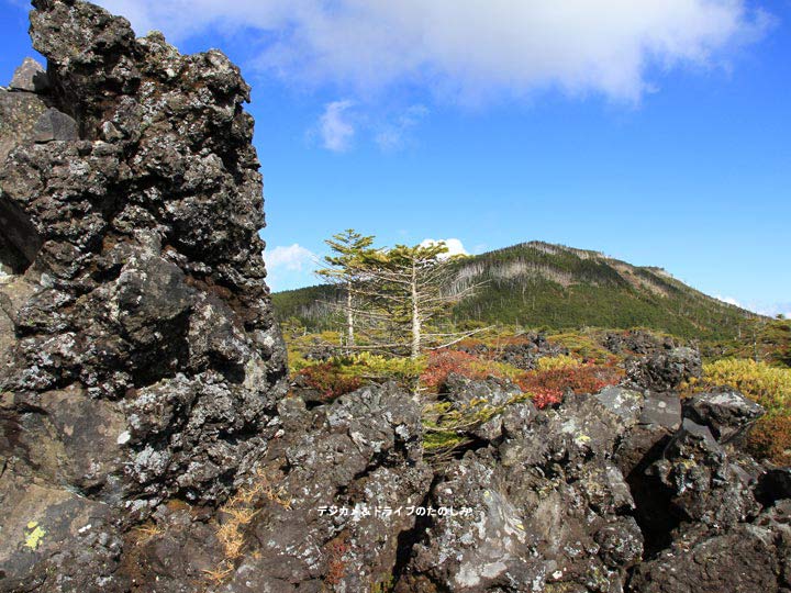 20.蓼科中央高原