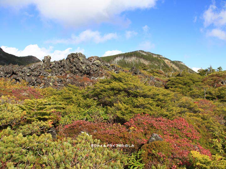 21.蓼科中央高原