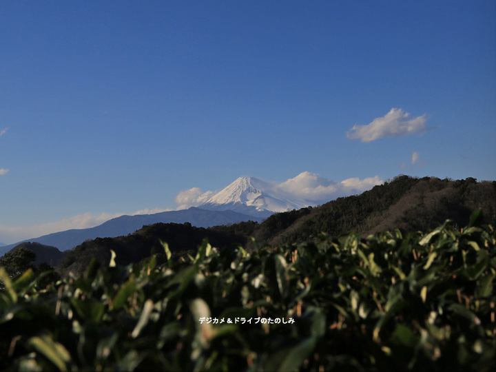 9.韮山反射炉　茶畑から