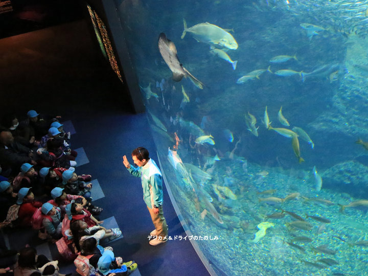 21.新江ノ島水族館