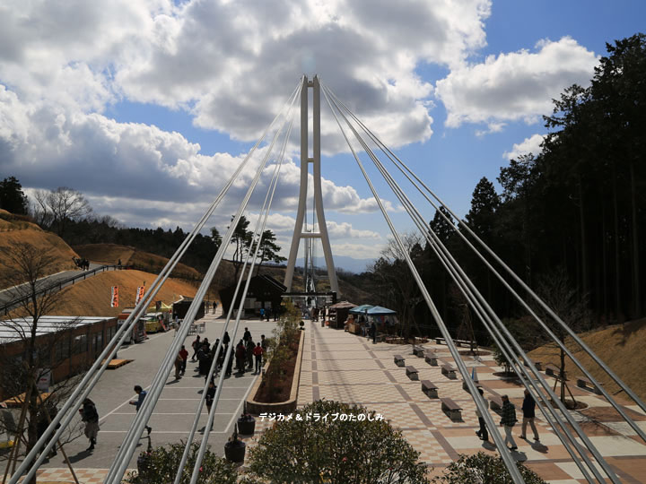 8.渡りきって、来た方向を写す 