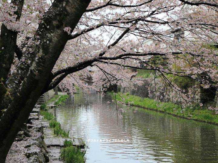 10.日牟禮八幡宮