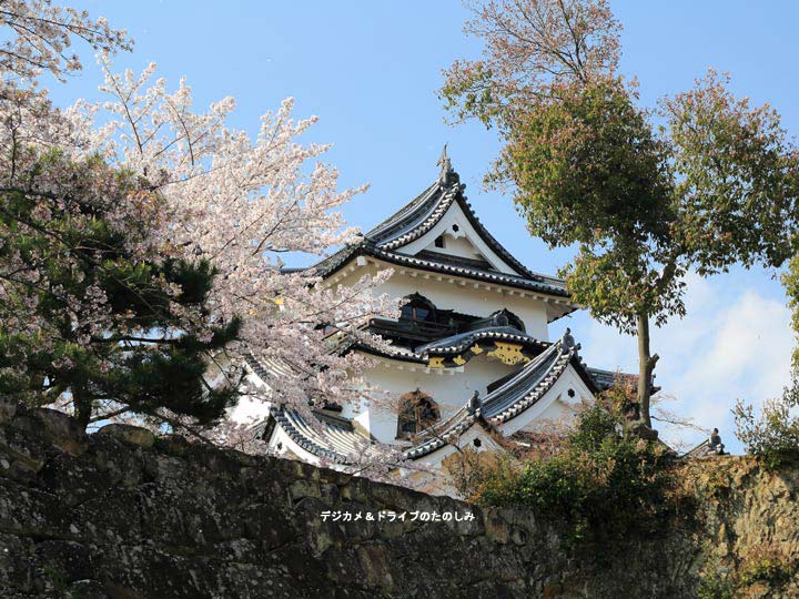 25.彦根城 天守