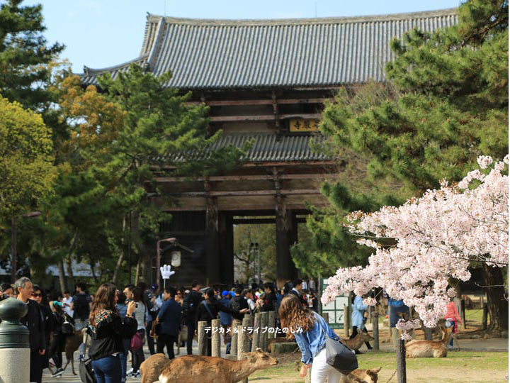 11.大華嚴寺