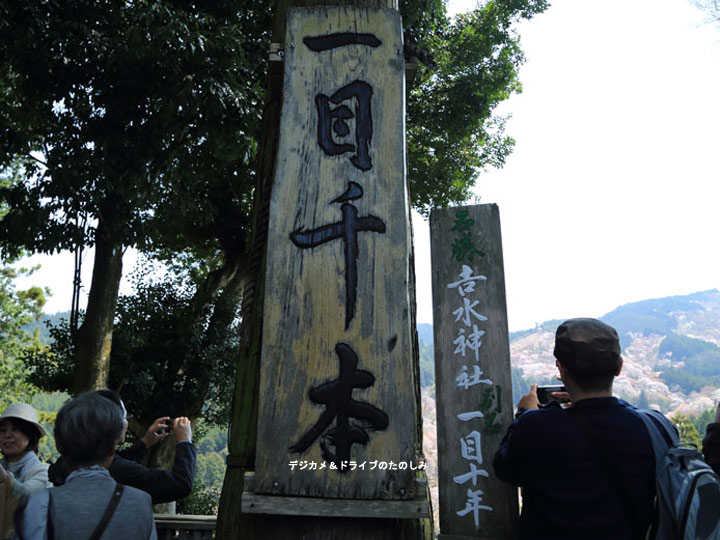 18.一目千本 吉水神社