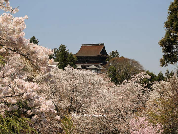 20.金峯山寺 蔵王堂