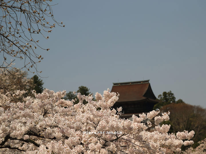 21.金峯山寺 蔵王堂