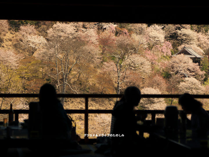 22.茶店からの桜