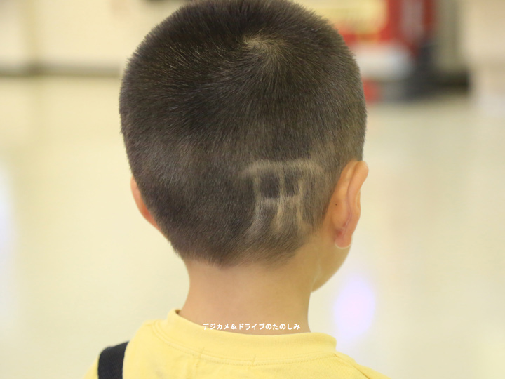 1.阪神タイガース刈