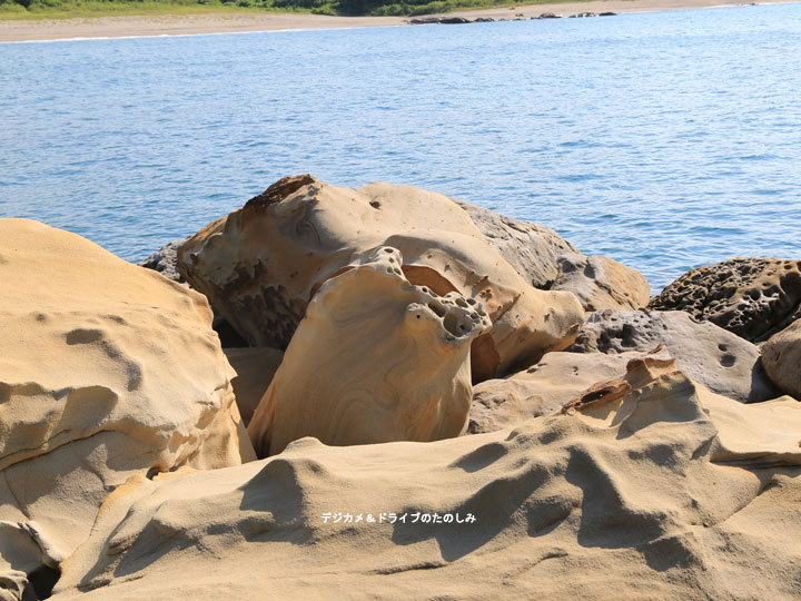 31.足摺宇和海国立公園 化石レンコン