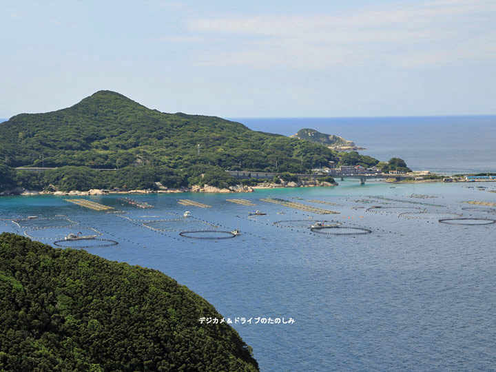 35.柏島 宿毛湾マグロの巨大養殖