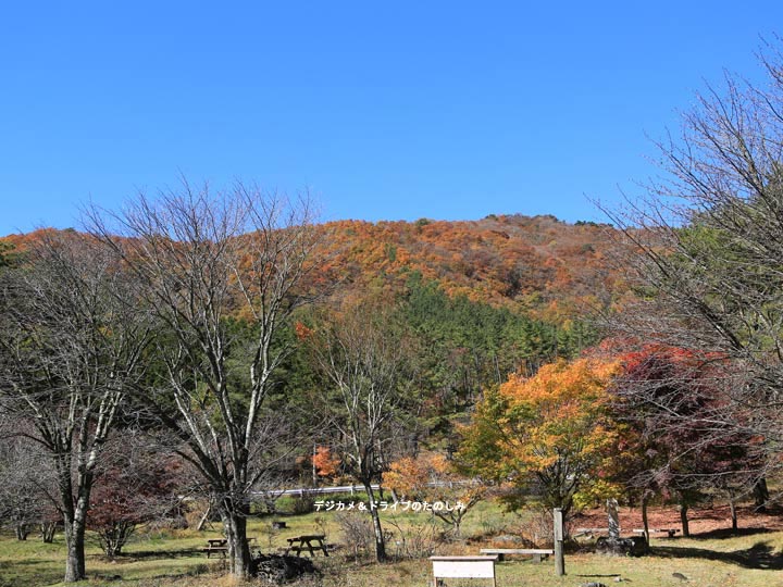 1.さくら広場