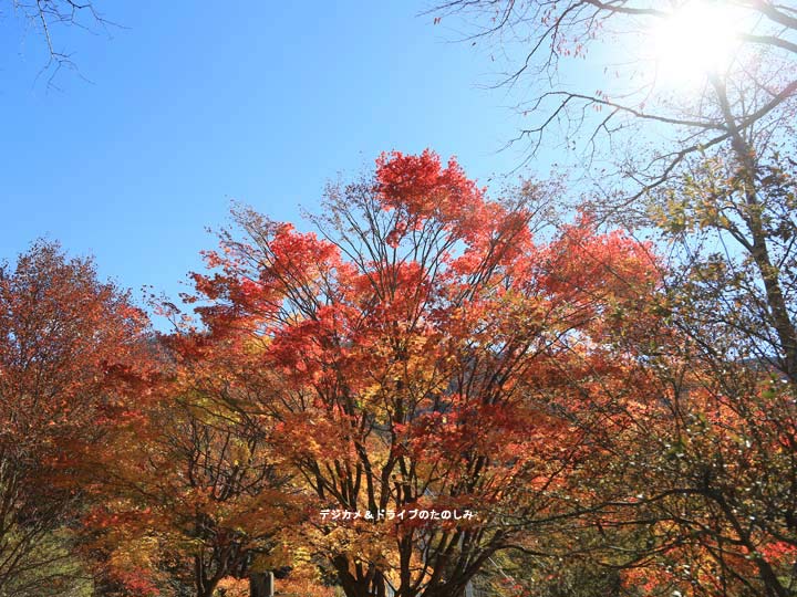 2.紅葉と青空