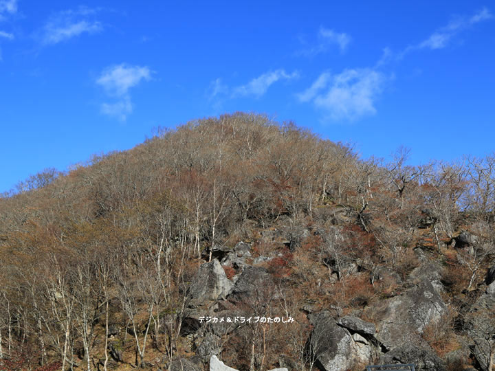 20.山頂 白樺