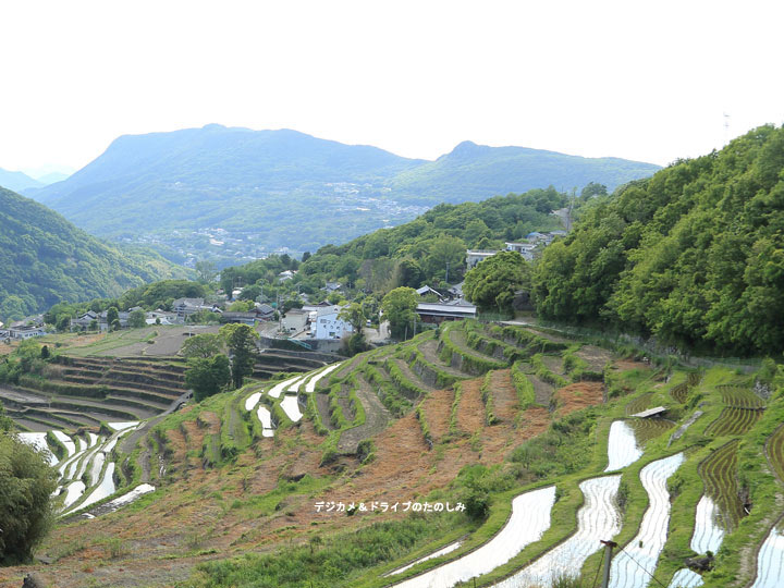 38.中山千枚田 日本の棚田百選