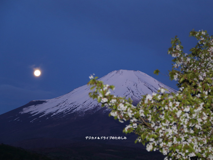 1.富士山　山桜と満月