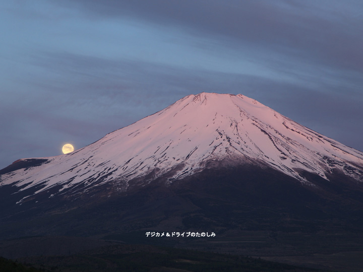 4.5月の満月：別名フラワームーン 2 