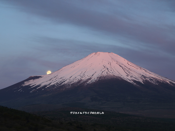 7.5月の満月：別名フラワームーン 5 