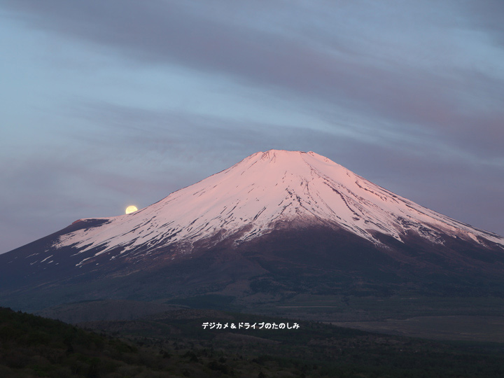 8.5月の満月：別名フラワームーン 6 