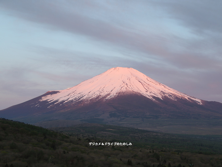 11.5月の満月：別名フラワームーン 9 