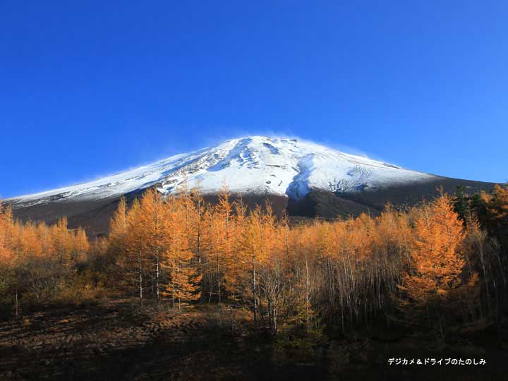 13.紅葉と新雪 2