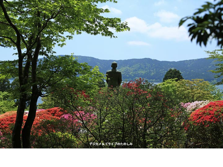 8.芦ノ湖を望む