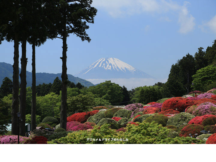 13.絶景