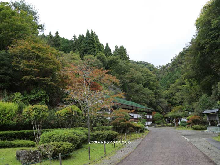 4.少し紅葉が始まる 