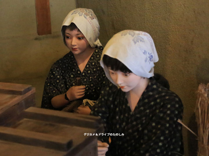 33.No.53・54 マブちゃんと銀おし(銀山ボーイの有名ファン)