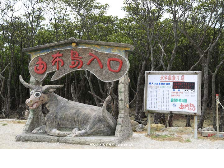 21.由布島水牛車