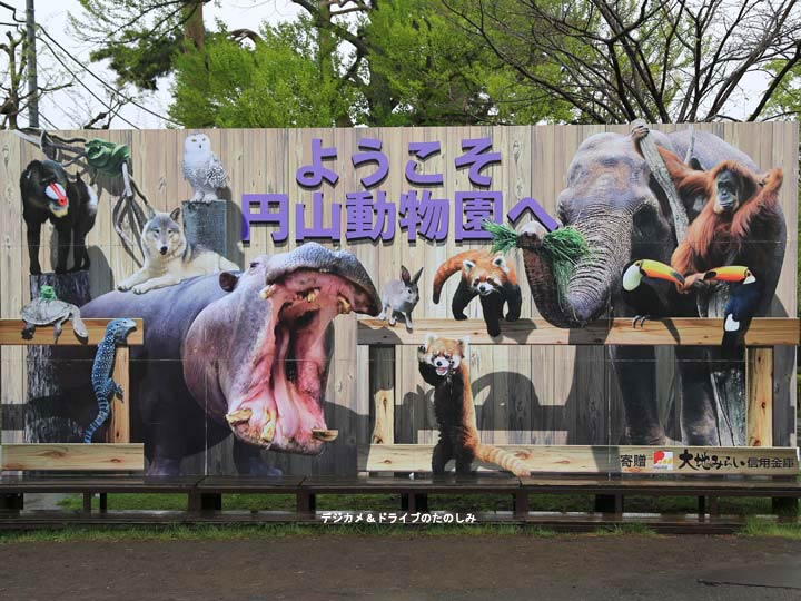 1.北海道さっぽろ丸山動物園