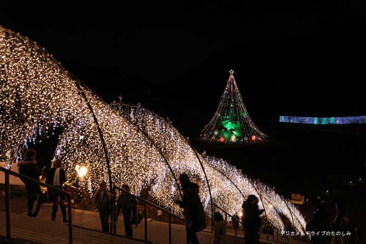 2.宮ケ瀬湖のクリスマスツリー