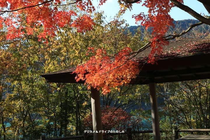 2.あずまやと紅葉 宮ヶ瀬ダム 