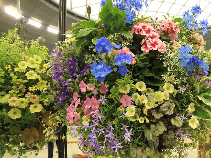 16.ハンギング バスケット