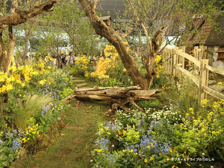 20.ターシャの庭