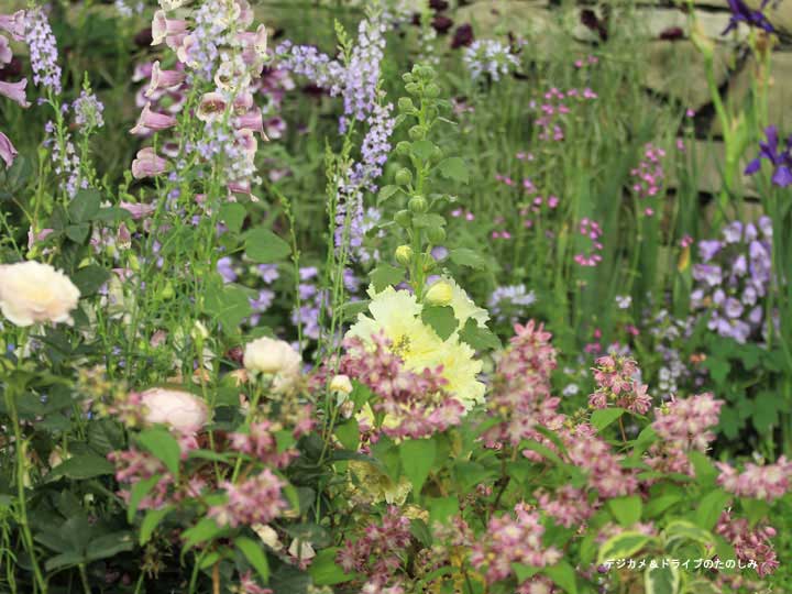 22.小花の寄せ植え
