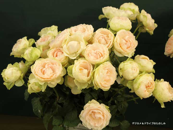 4.白と淡いピンク