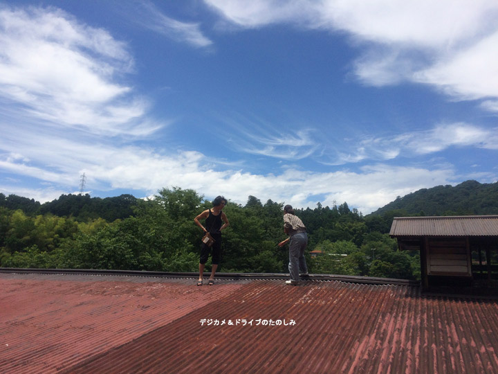 21.美しい青葉と青空の下で