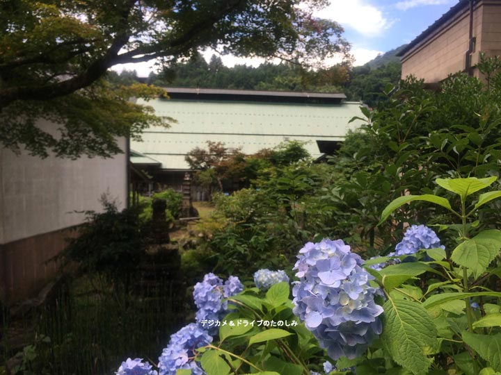 26.お店の庭も素敵です。