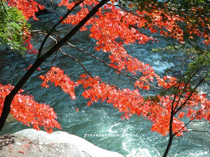 14.清流に沿って歩く