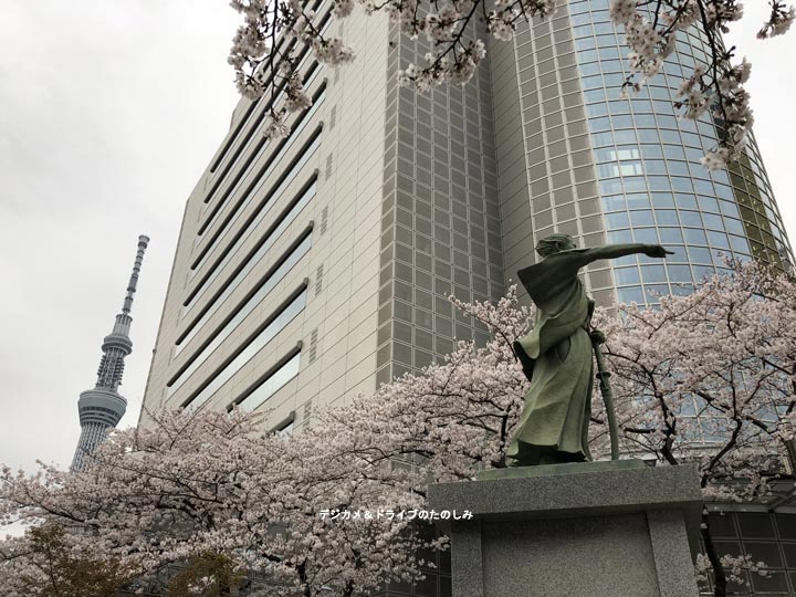 9.隅田川 桜まつり スカイツリー