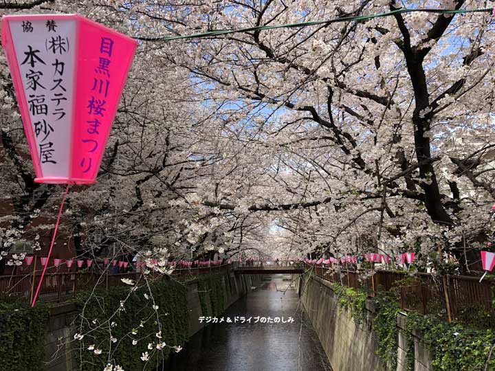 1.目黒川 桜まつり 昼