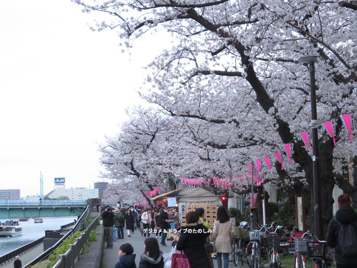 10.隅田川 花見